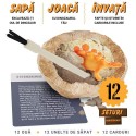 Творчески археологически комплект 12 динозавърски яйца с информационни карти